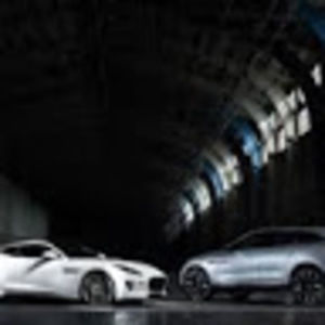 Meet your Posher, Samuel